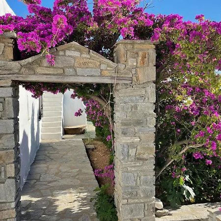 Vila Zeus - Parikia - Paros - Grece Krotiri